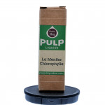 Pulp - Menthe chlorophylle
